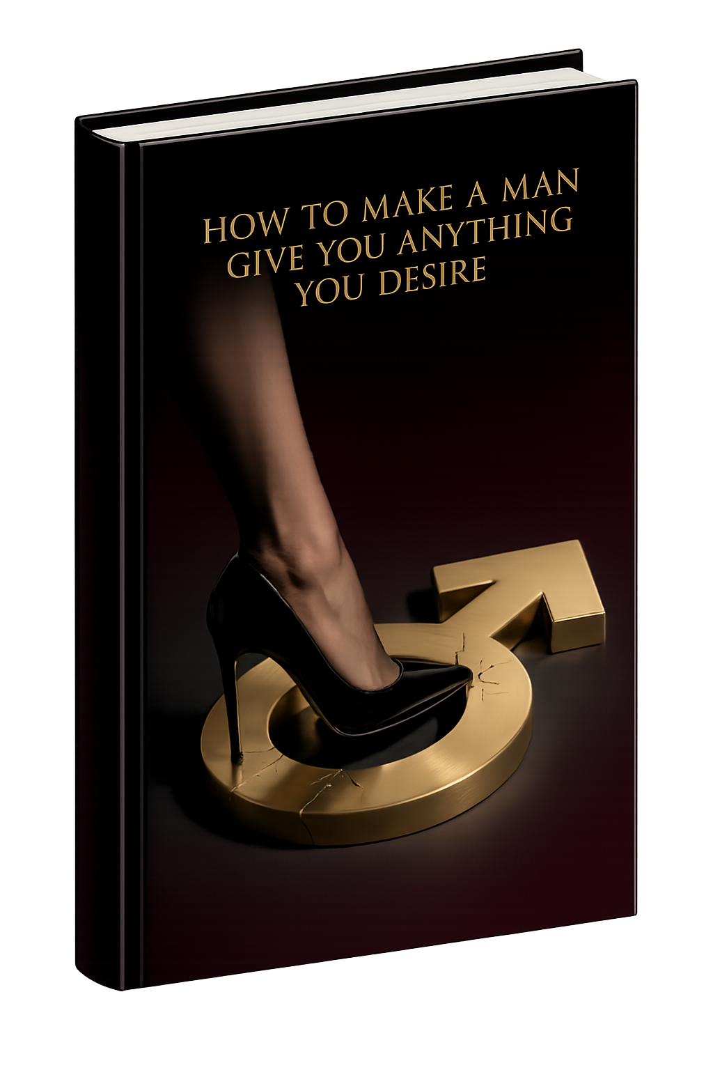 HOW TO MAKE A MAN GIVE YOU ANYTHING YOU DESIRE guide cover