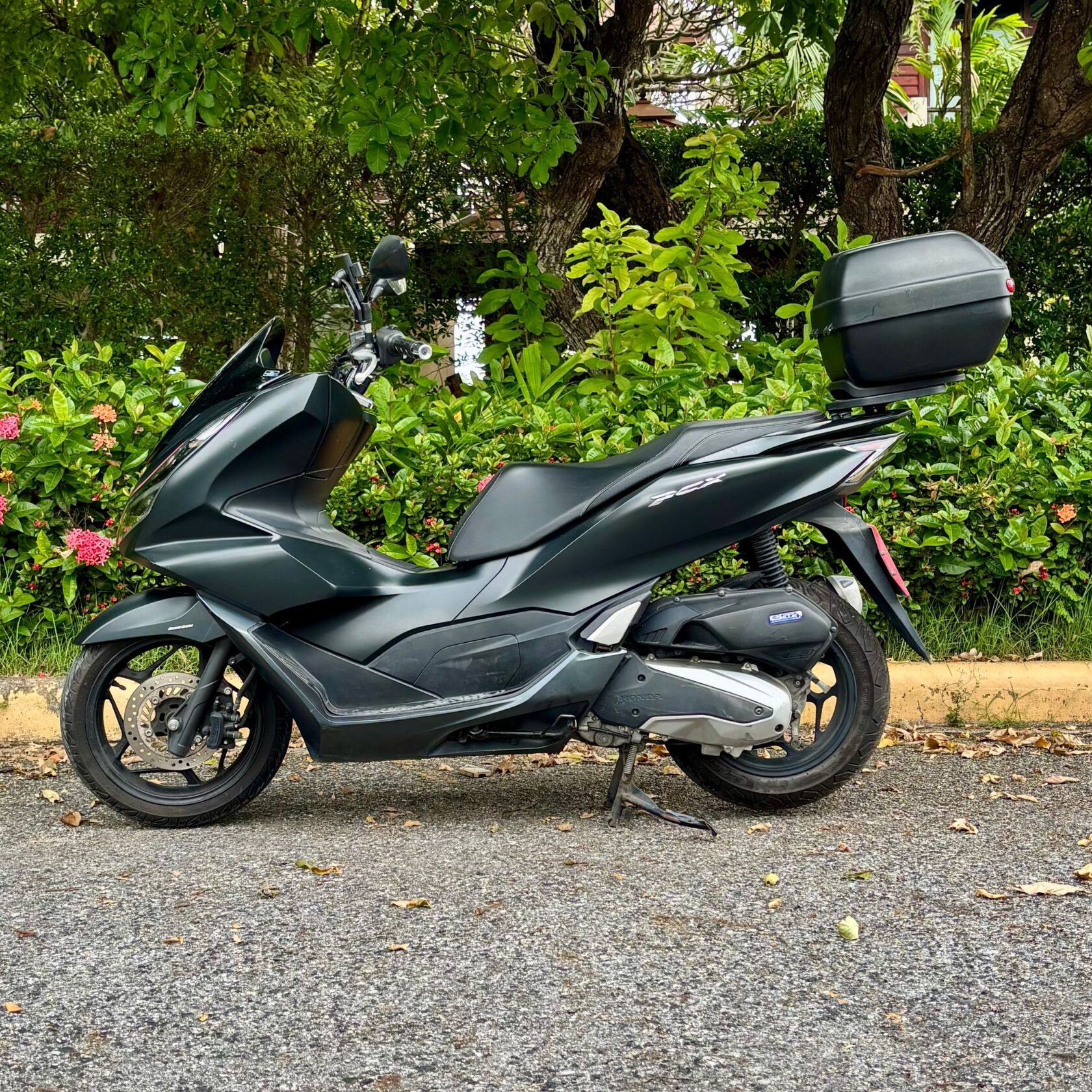 Honda PCX 160 rental Pattaya — premium city scooter for daily hire