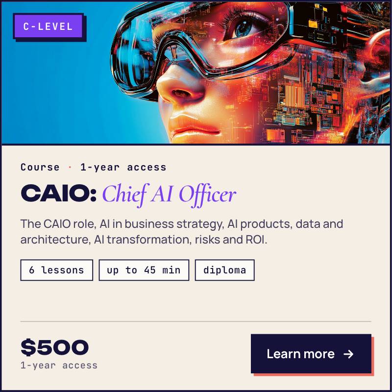 Chief AI Officer