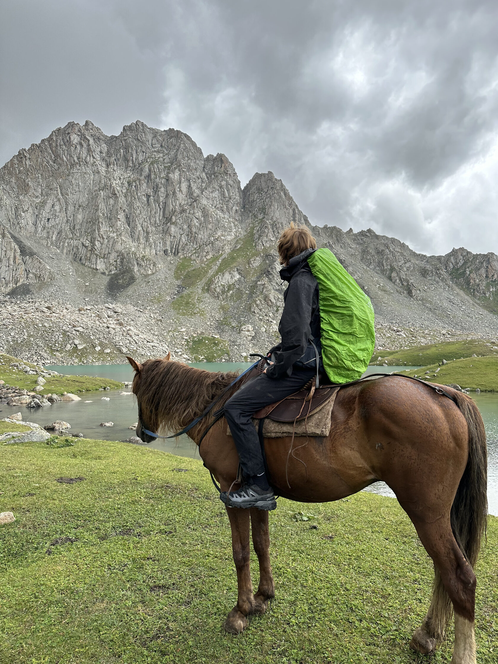 Horses standing in alpine meadows beside the clear water of Zhashyl-Kol lake