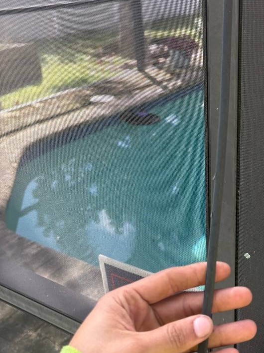 Dried-out spline popping out of a pool screen frame