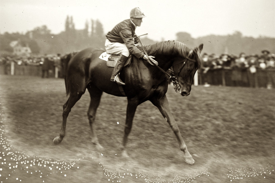 Ksar, победитель Prix de l’Arc de Triomphe, 1922