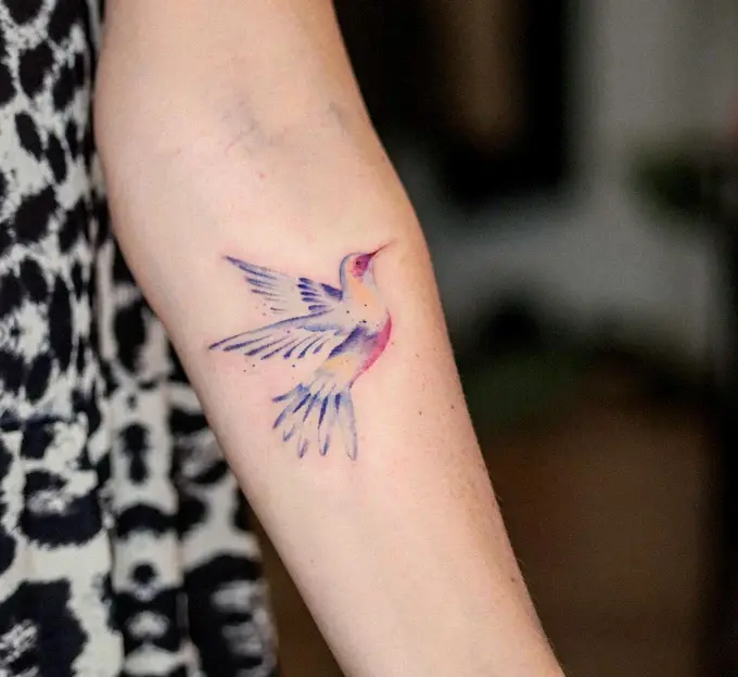 Watercolour bird in blue and pink