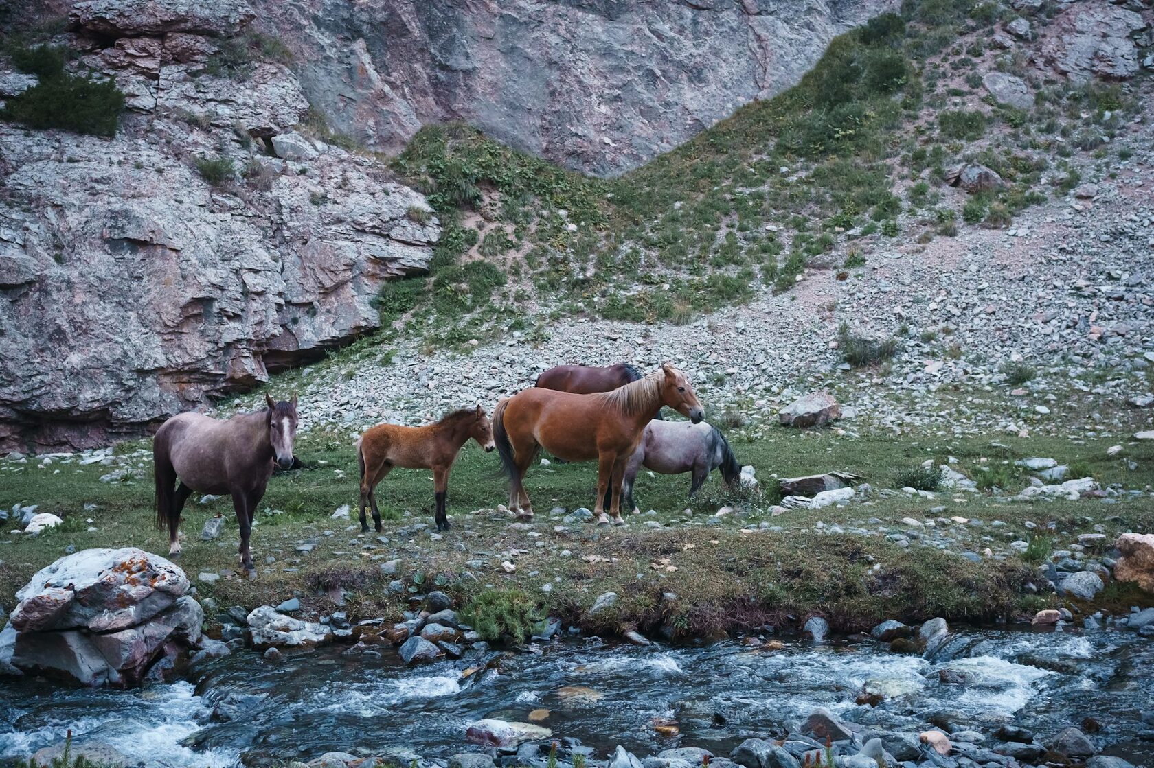 Horses in the high pastures of the Terskey Ala-Too mountains