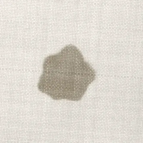 Symbolbild: frischer Fettfleck auf hellem Sofastoff in Nahaufnahme Symbolbild: frischer Fettfleck auf hellem Sofastoff in Nahaufnahme. Shikardos Reinigung aus Frankfurt nimmt solche Flecken zuerst mit Stärke auf.