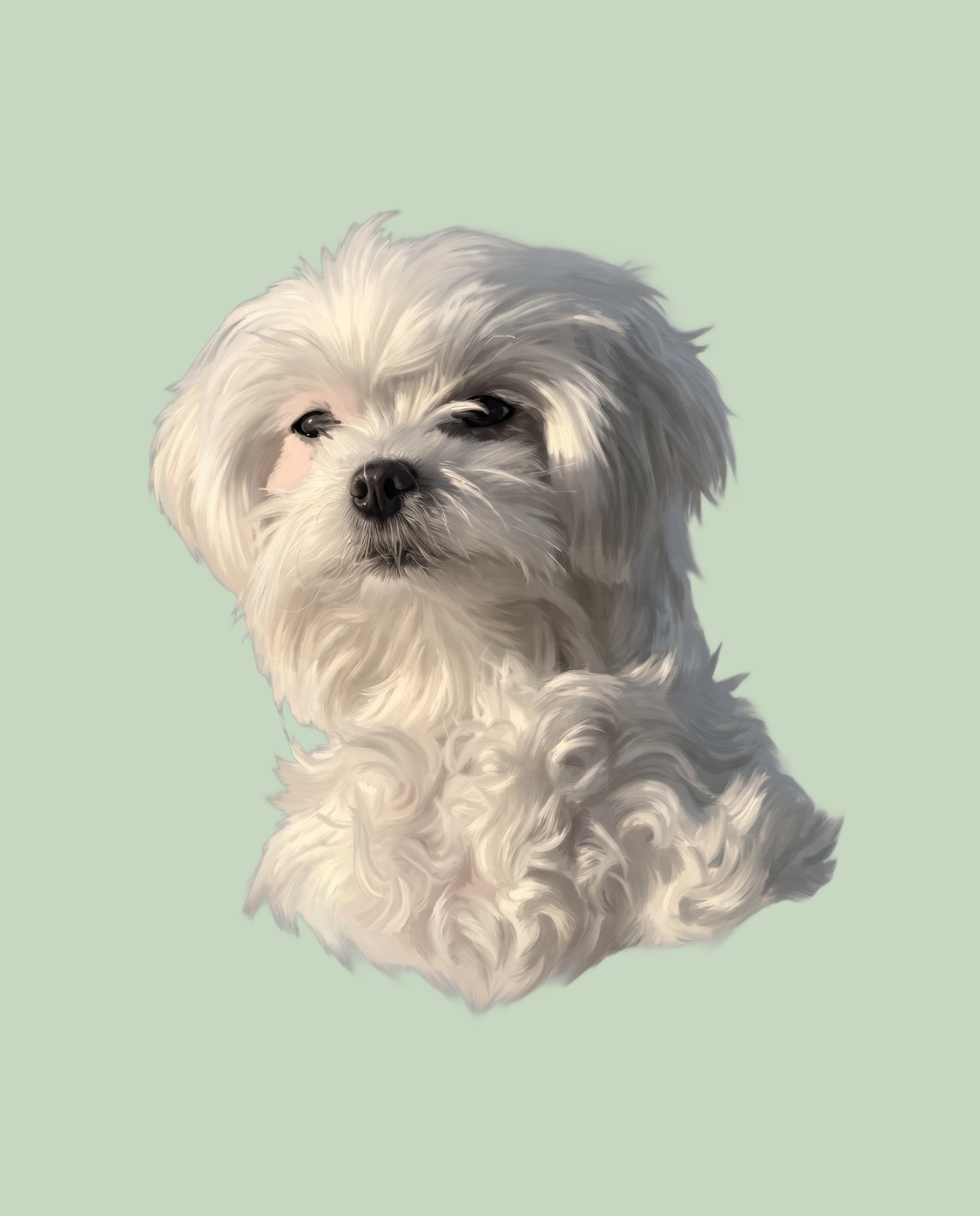 Modern style portrait of a white dog on a sage background