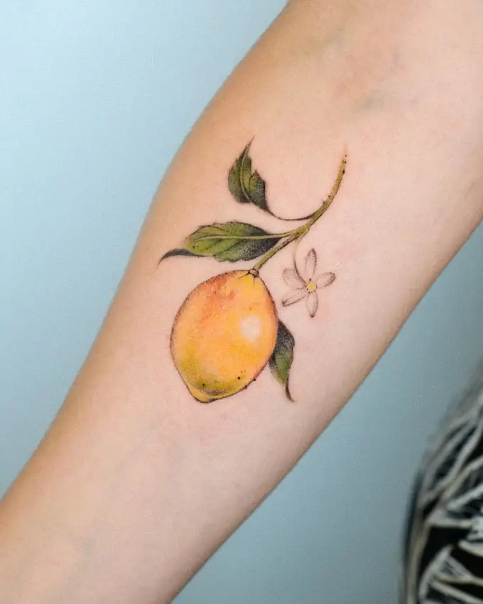 Lemon with leaves and a blossom