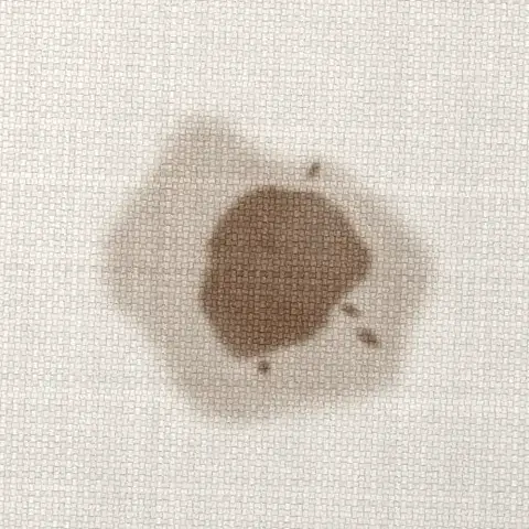 Symbolbild: derselbe Kaffeefleck nach einer Stunde, oben heller und darunter mit breitem feuchtem Hof Symbolbild: derselbe Kaffeefleck nach einer Stunde, oben heller und darunter mit breitem feuchtem Hof. Shikardos Reinigung aus Offenbach zeigt, wie der Fleck ins Vlies zieht.