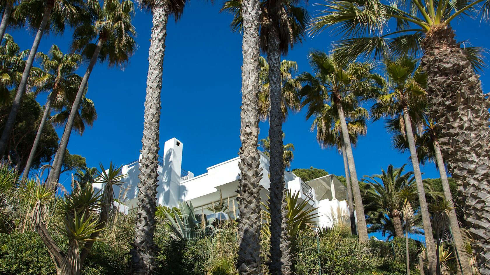 White villa with palm trees under a clear blue sky in Marbella