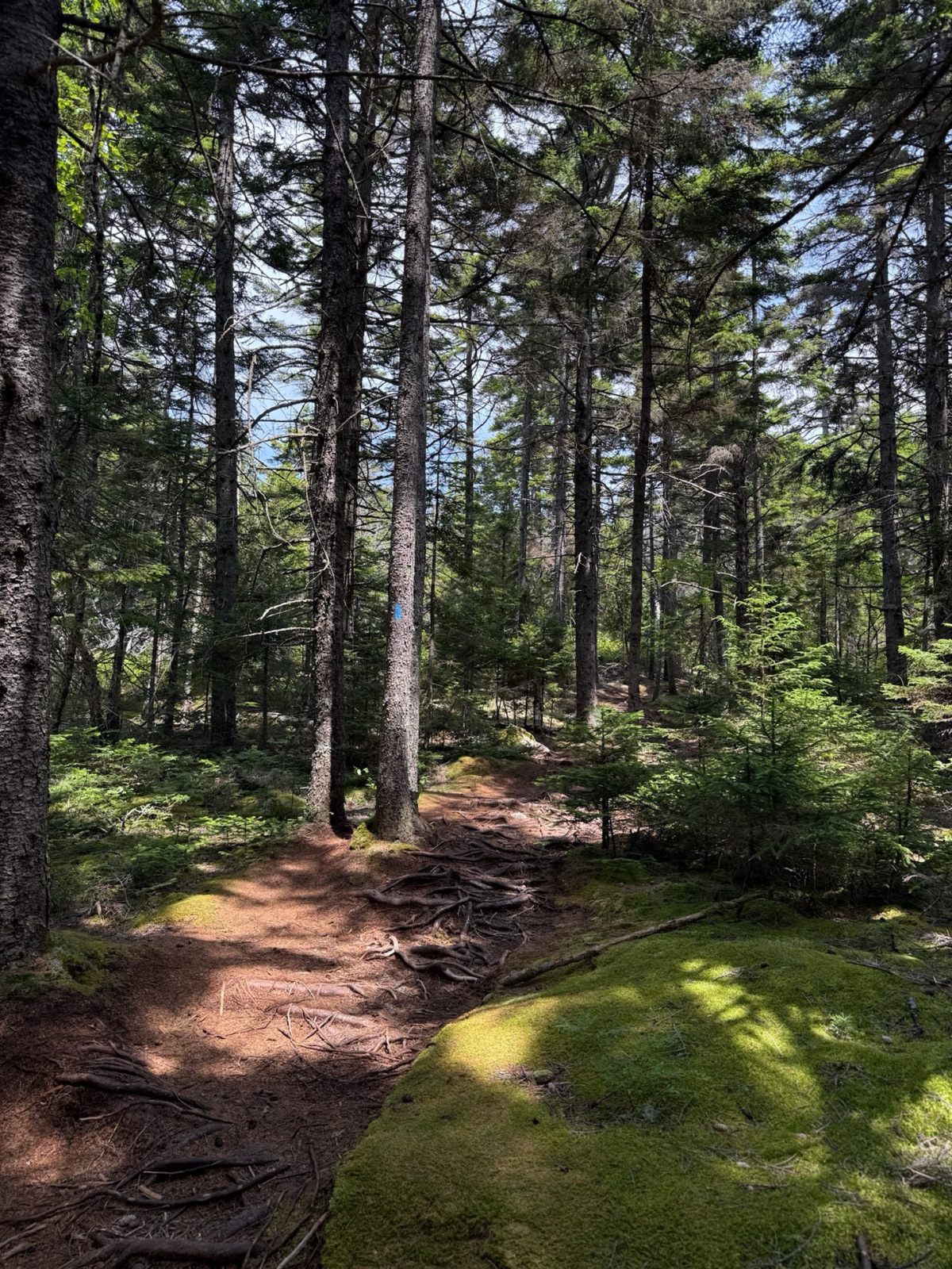 Weekend outdoors