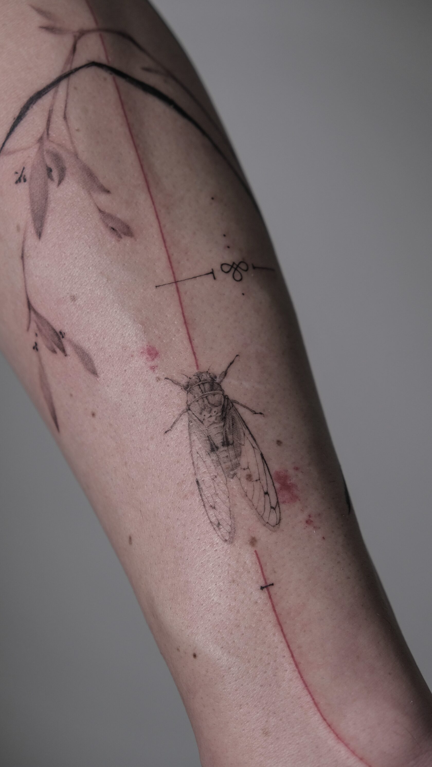 Tattoo von Anastasia – Arbeit 5