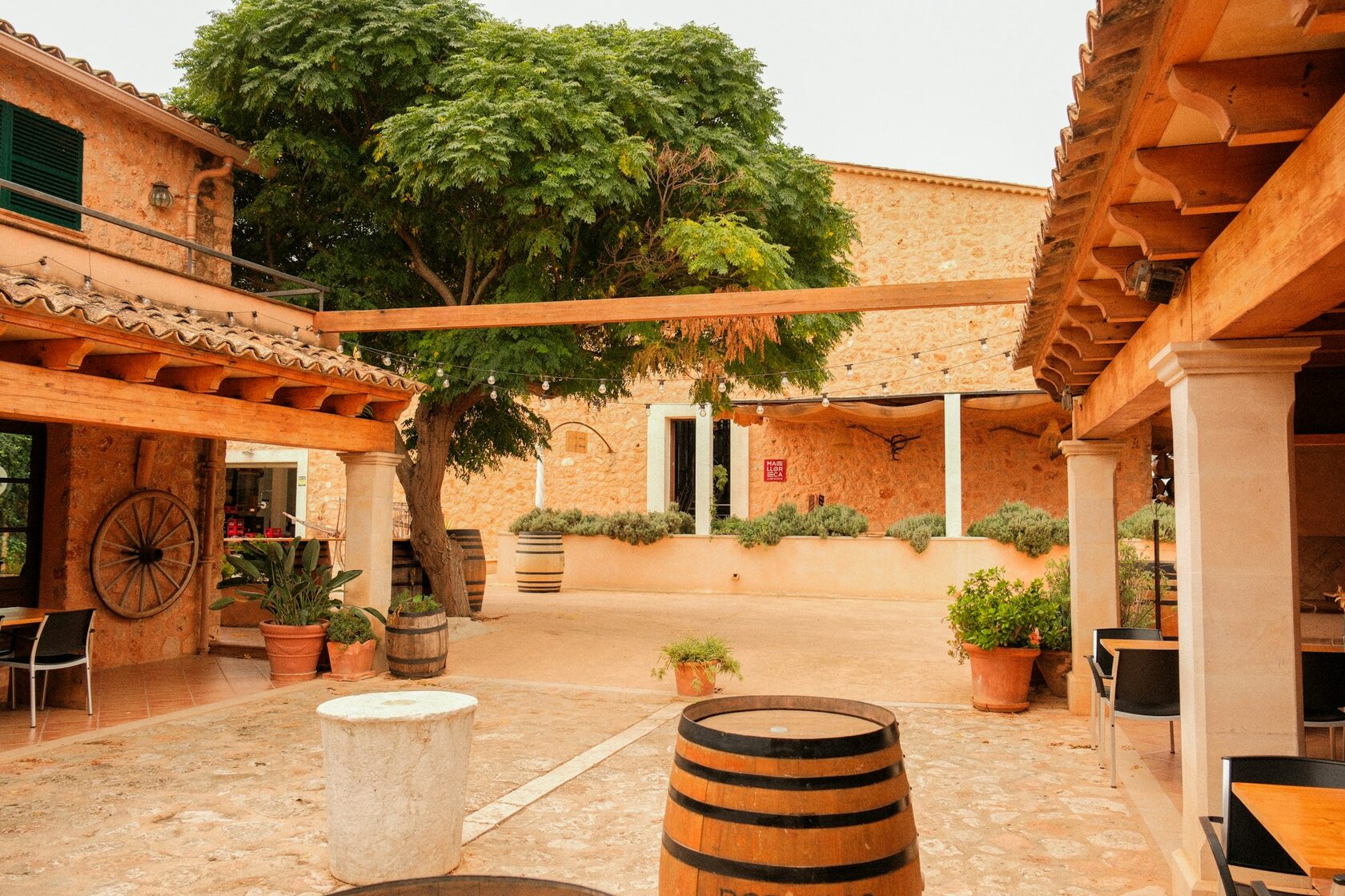 Boutique villa and garden on the Mediterranean coast