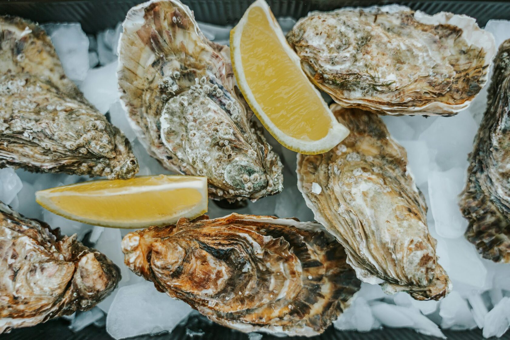 Fresh oysters on ice with lemon wedges beside a pint of stout, a harbor in soft focus behind.