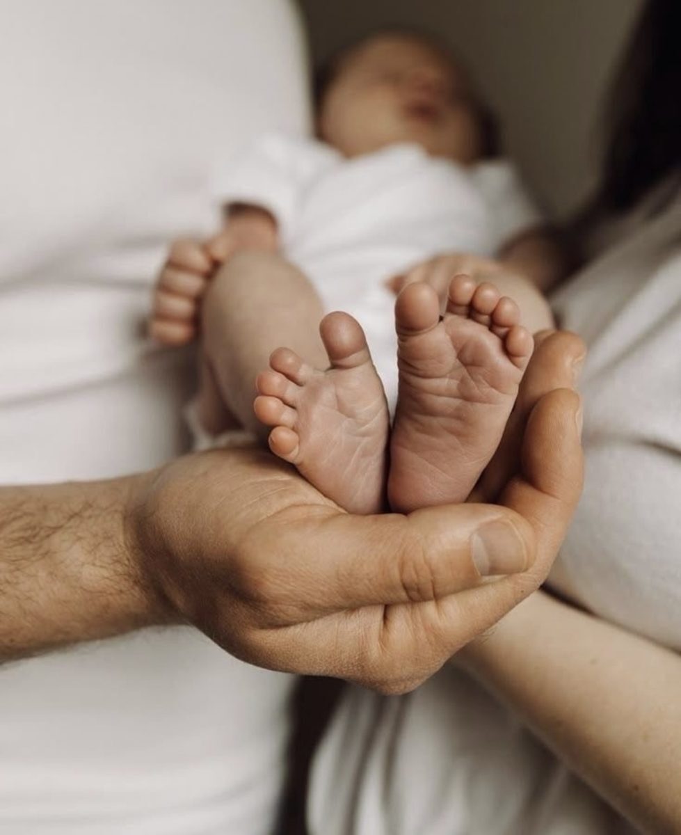 Transport of existing embryos