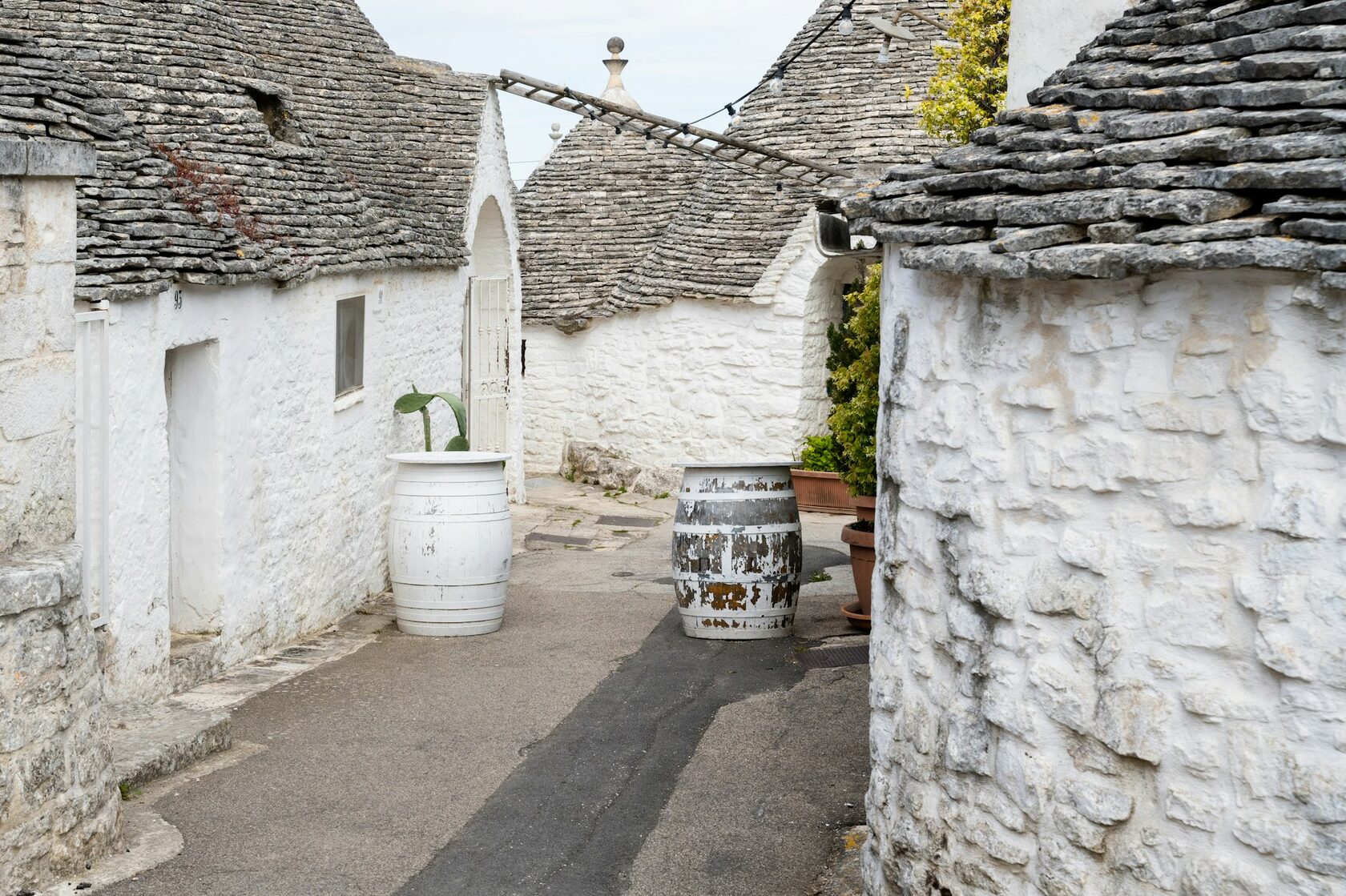 White trulli houses among olive trees in Puglia