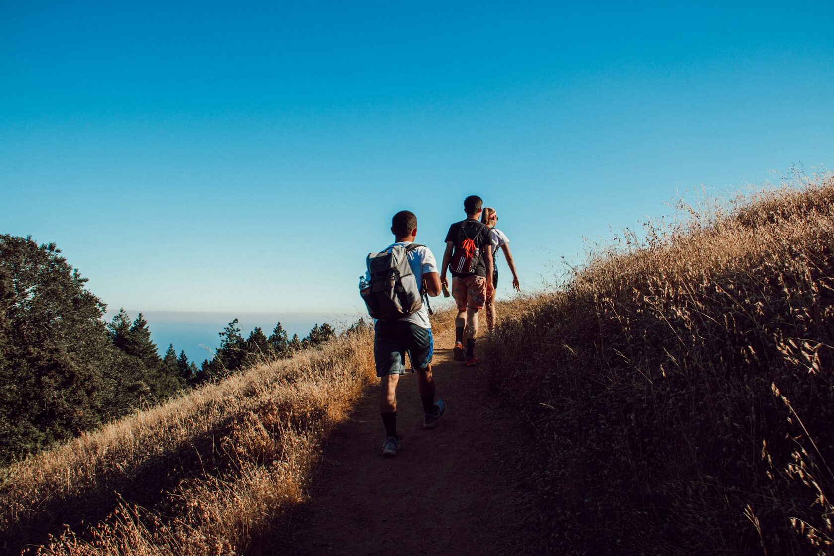 A small group of walkers on a scenic mountain trail