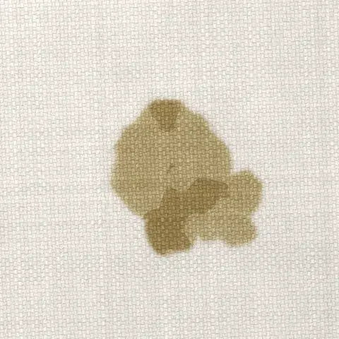 Symbolbild: frischer Fleck von Erbrochenem auf hellem Sofastoff in Nahaufnahme Symbolbild: frischer Fleck von Erbrochenem auf hellem Sofastoff in Nahaufnahme. Shikardos Reinigung aus Frankfurt rät zu Natron und kaltem Wasser.