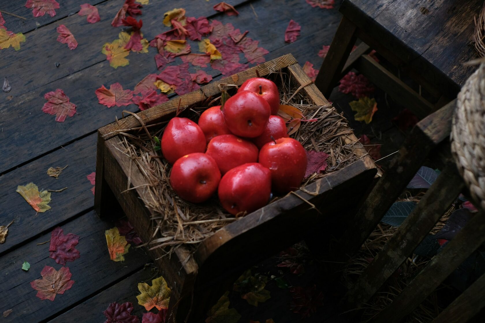 A round of Camembert, a glass of Calvados and red apples on a rustic wooden table in an orchard