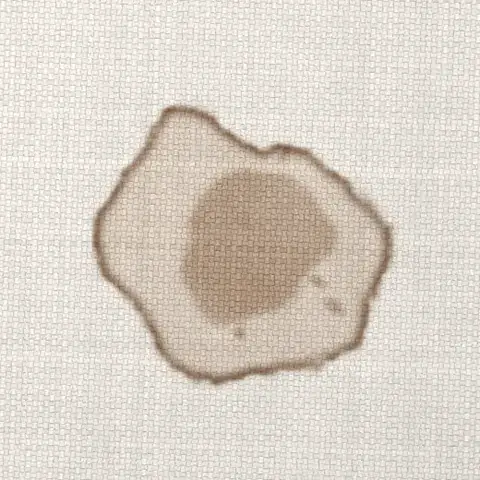 Symbolbild: derselbe Kaffeefleck nach einem Tag, getrocknet mit braunem Rand Symbolbild: derselbe Kaffeefleck nach einem Tag, getrocknet mit braunem Rand. Shikardos Reinigung aus Wiesbaden erklärt, warum der Schmutz an den Rand wandert.