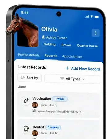 EQUINET app on a phone next to a horse