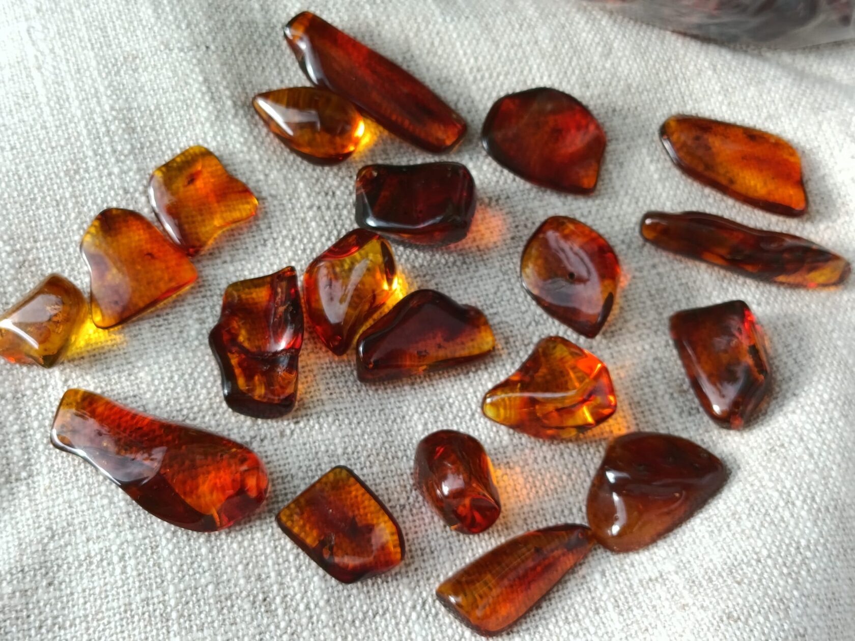 Polished Baltic amber stones with ancient insect inclusions laid on light cloth