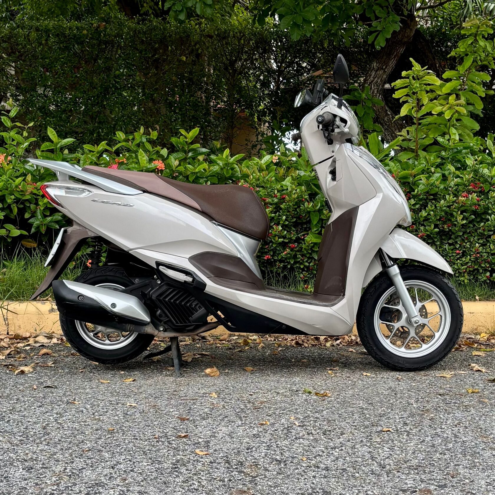 Honda Lead 125 rental Pattaya — smart city scooter with extra storage