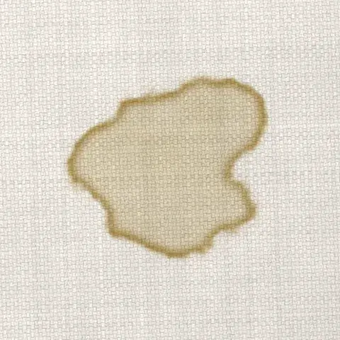 Symbolbild: eingetrockneter Urinfleck mit gelbem Rand auf hellem Sofastoff in Nahaufnahme. Harnsalze im Polster sp&uuml;lt Shikardos Reinigung in Hanau aus der Tiefe aus.