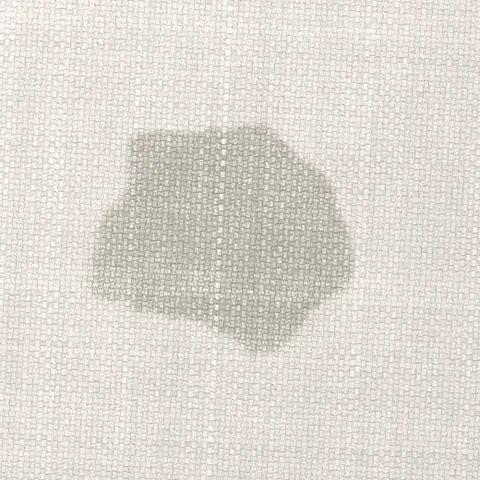 Symbolbild: frischer Wasserfleck auf hellem Sofastoff in Nahaufnahme Symbolbild: frischer Wasserfleck auf hellem Sofastoff in Nahaufnahme. Shikardos Reinigung aus Frankfurt erklärt, warum daraus ein Rand wird.