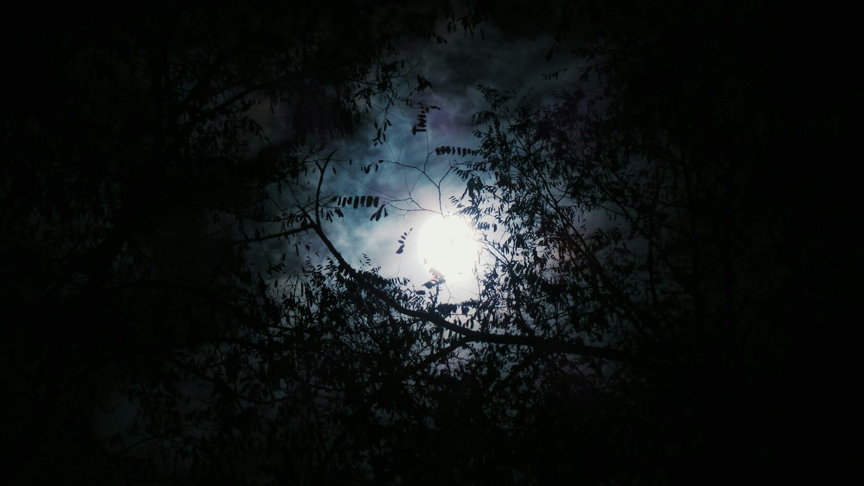 Luna piena sopra un paesaggio notturno avvolto dalla nebbia