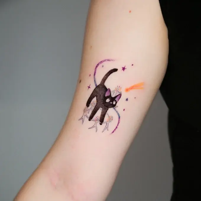 Black cat with a crescent and colour accents