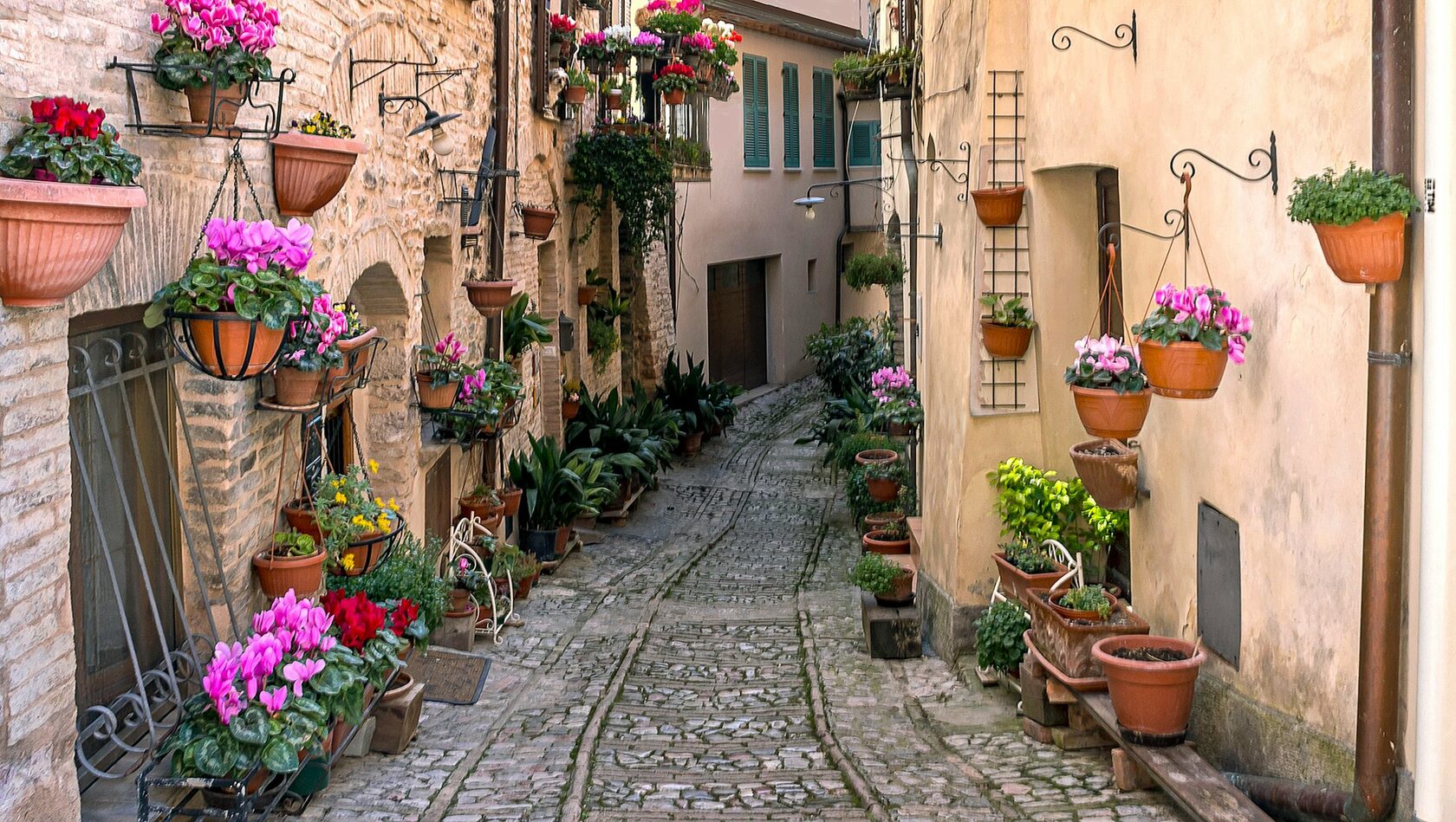A quiet, flower-lined stone lane in the Umbrian hill town of Spello, pots of red geraniums on the steps, soft morning light