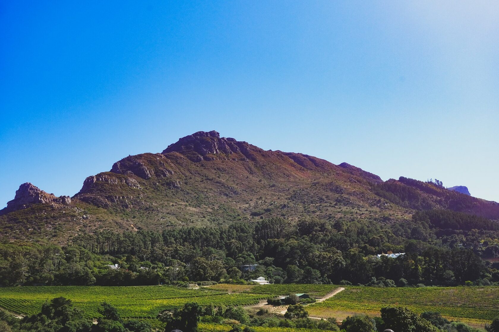 South Africa winelands