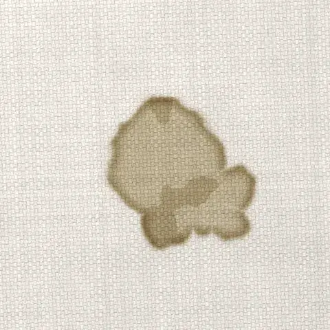 Symbolbild: eingetrockneter Fleck von Erbrochenem auf hellem Sofastoff in Nahaufnahme. Den Geruch aus dem Schaumstoff holt Shikardos Reinigung in Mainz mit einer Tiefenreinigung.
