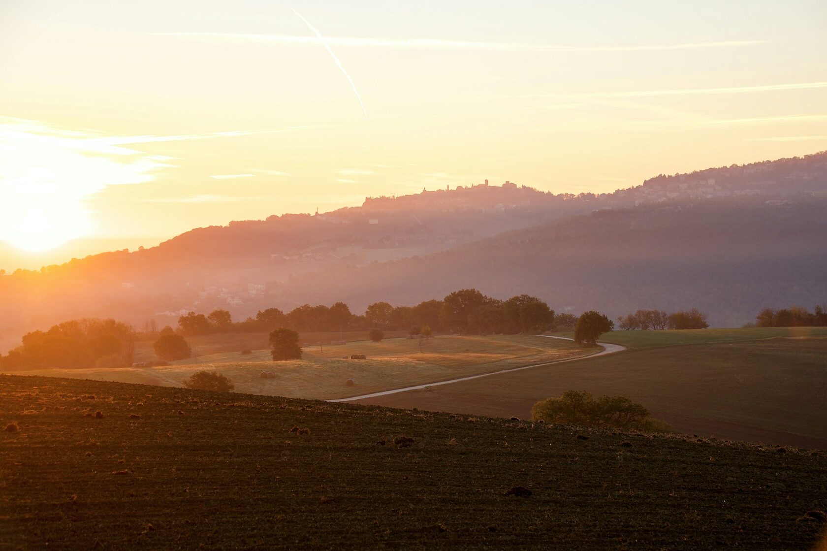 A cypress-lined road winding over green Val d'Orcia hills at sunrise