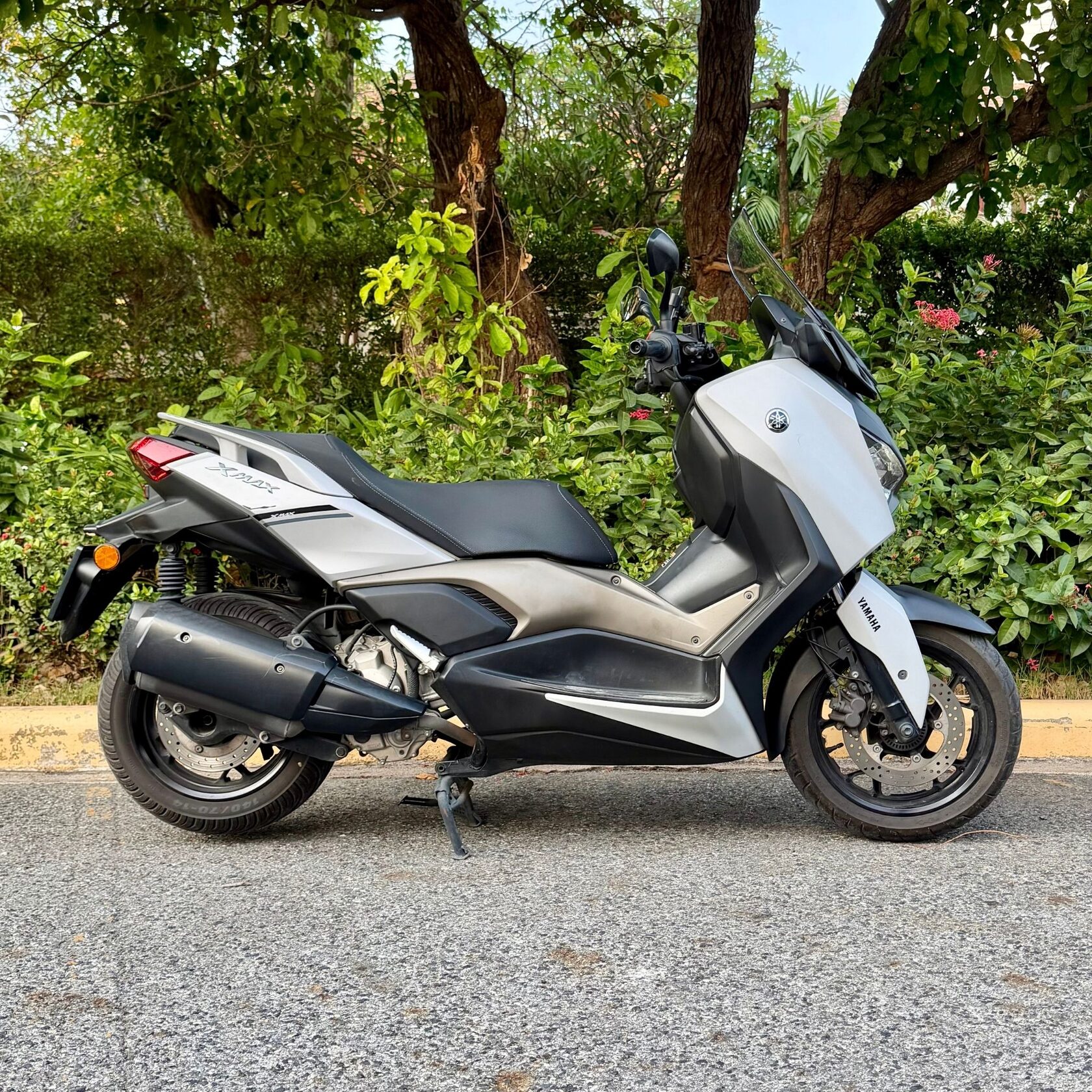 Yamaha XMAX 300 2025 model rental Pattaya — brand new premium maxi-scooter