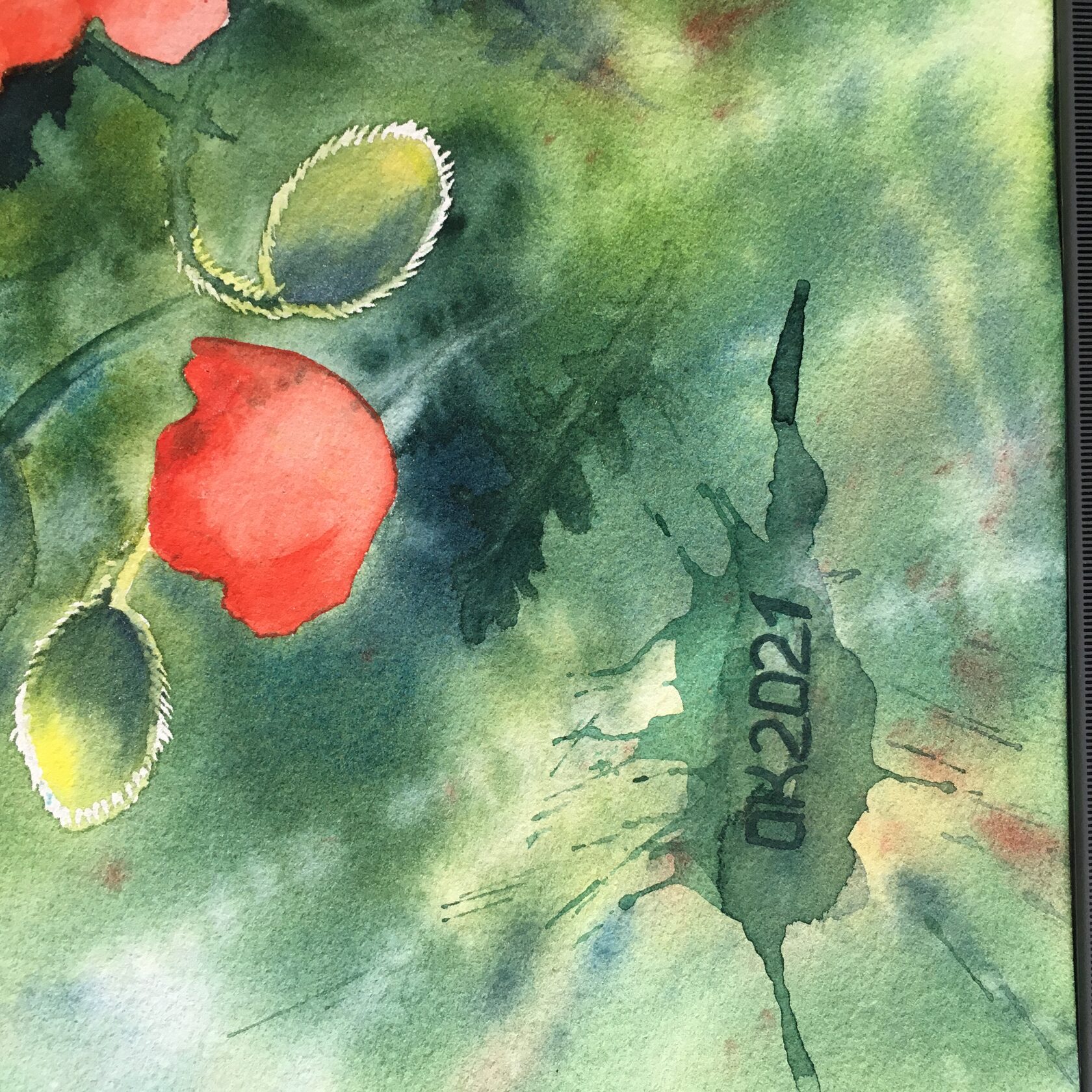 Red Poppy Watercolor Painting