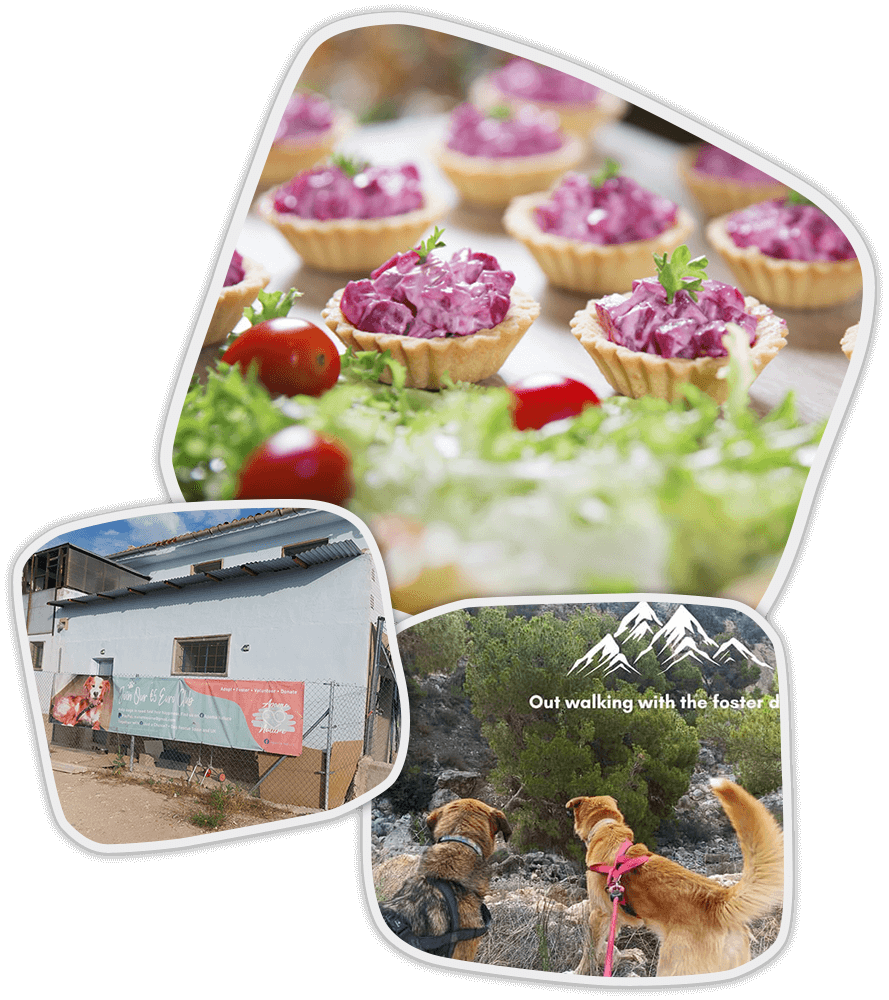 Refugio de animales durante un evento