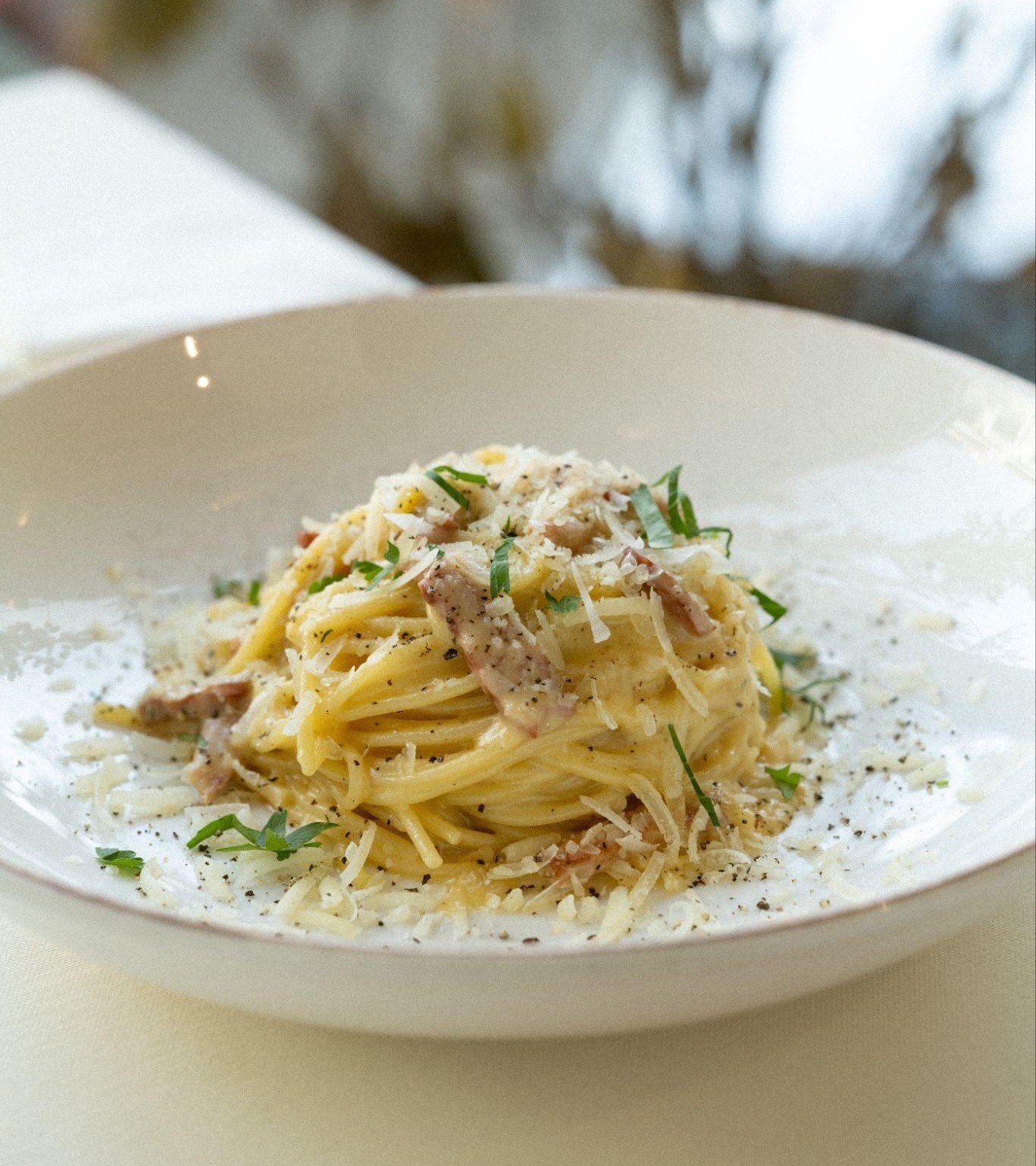 Alfredo Trattoria