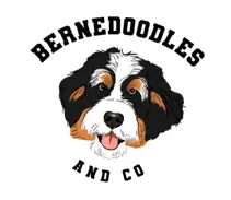 Bernedoodles Bay Area