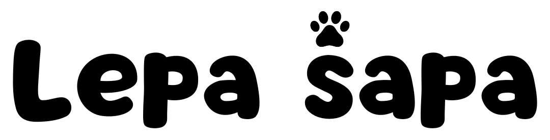 Company