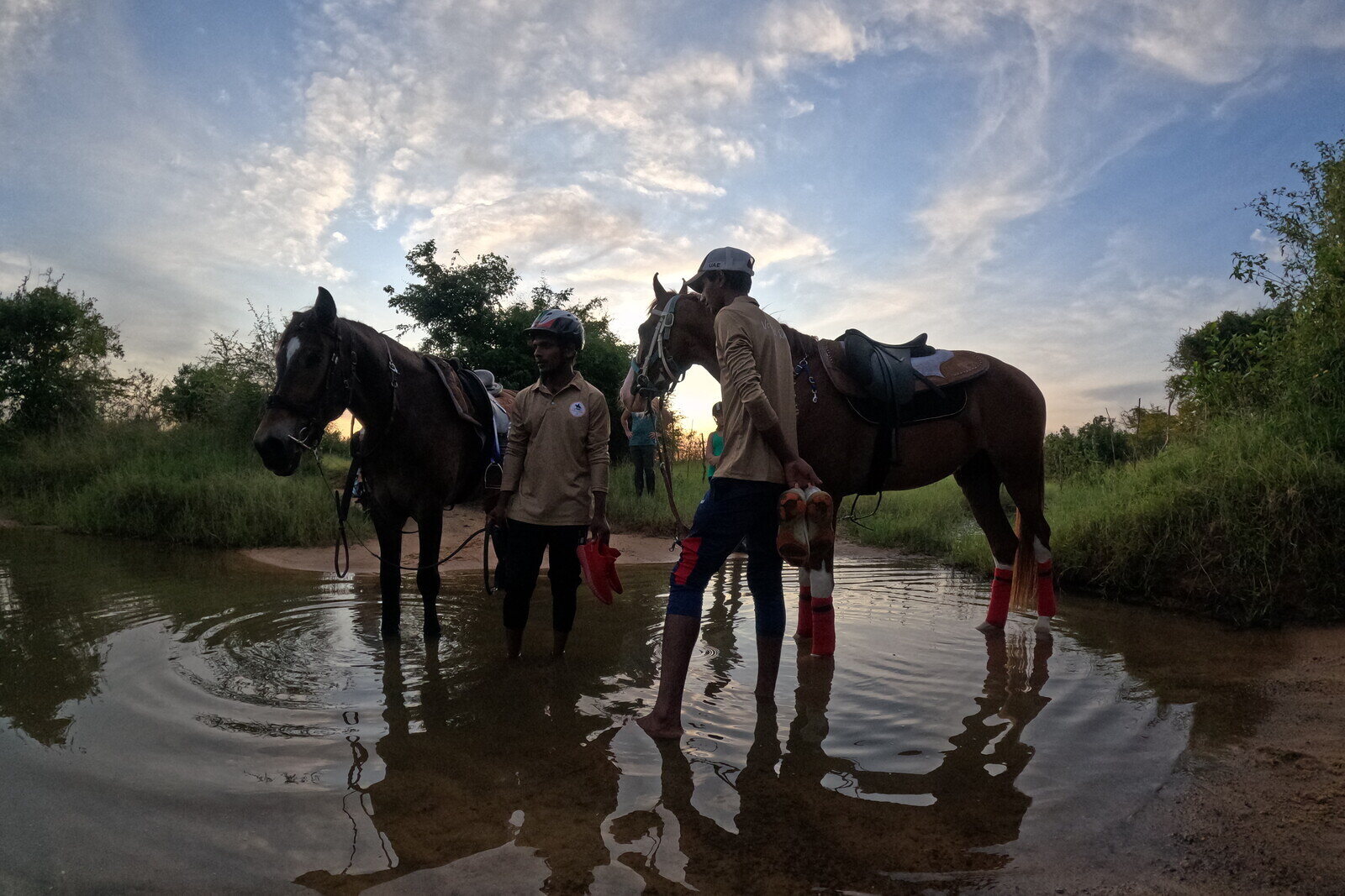 Horses led through water at the end of a riding day, handlers alongside.