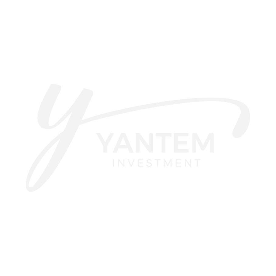 YANTEM INVESTMENT LLC