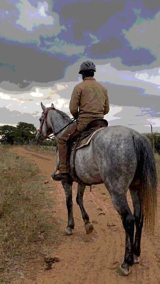 Horse and rider on a countryside trail at Vonfidel Ranch demonstrating ethical horsemanship.