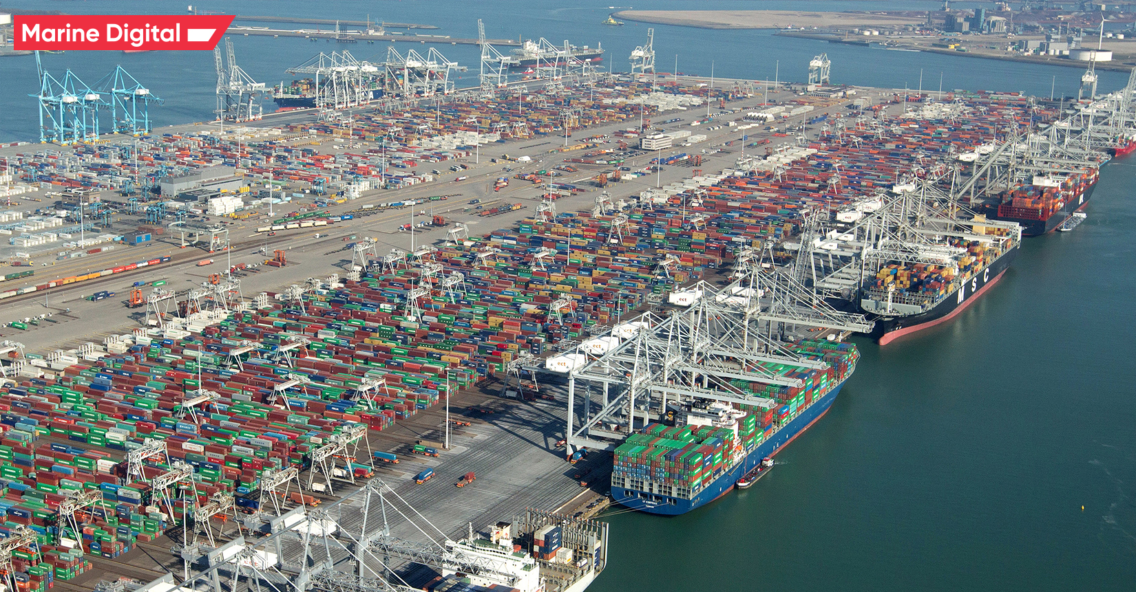 Rotterdam (Netherlands)