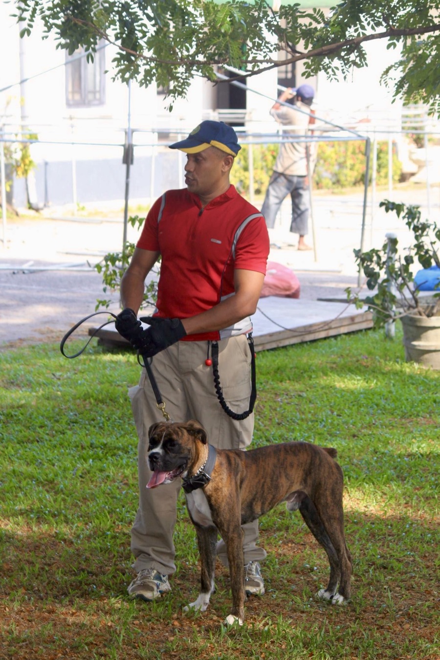 VONFIDEL K9 dog training fieldwork in Sri Lanka
