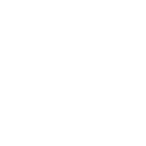 inst logo