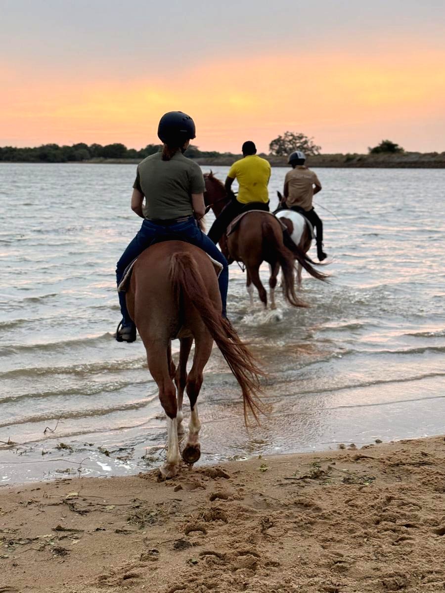 Riders entering shallow water at sunset at Vonfidel Ranch