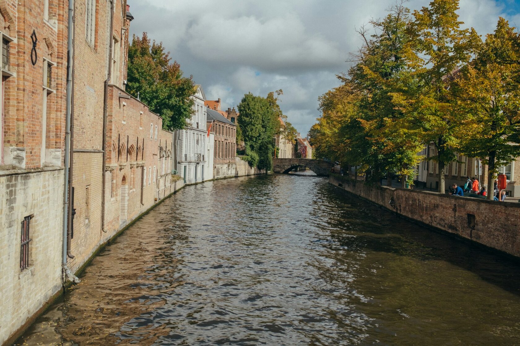 Dutch canal houses and spring tulip fields