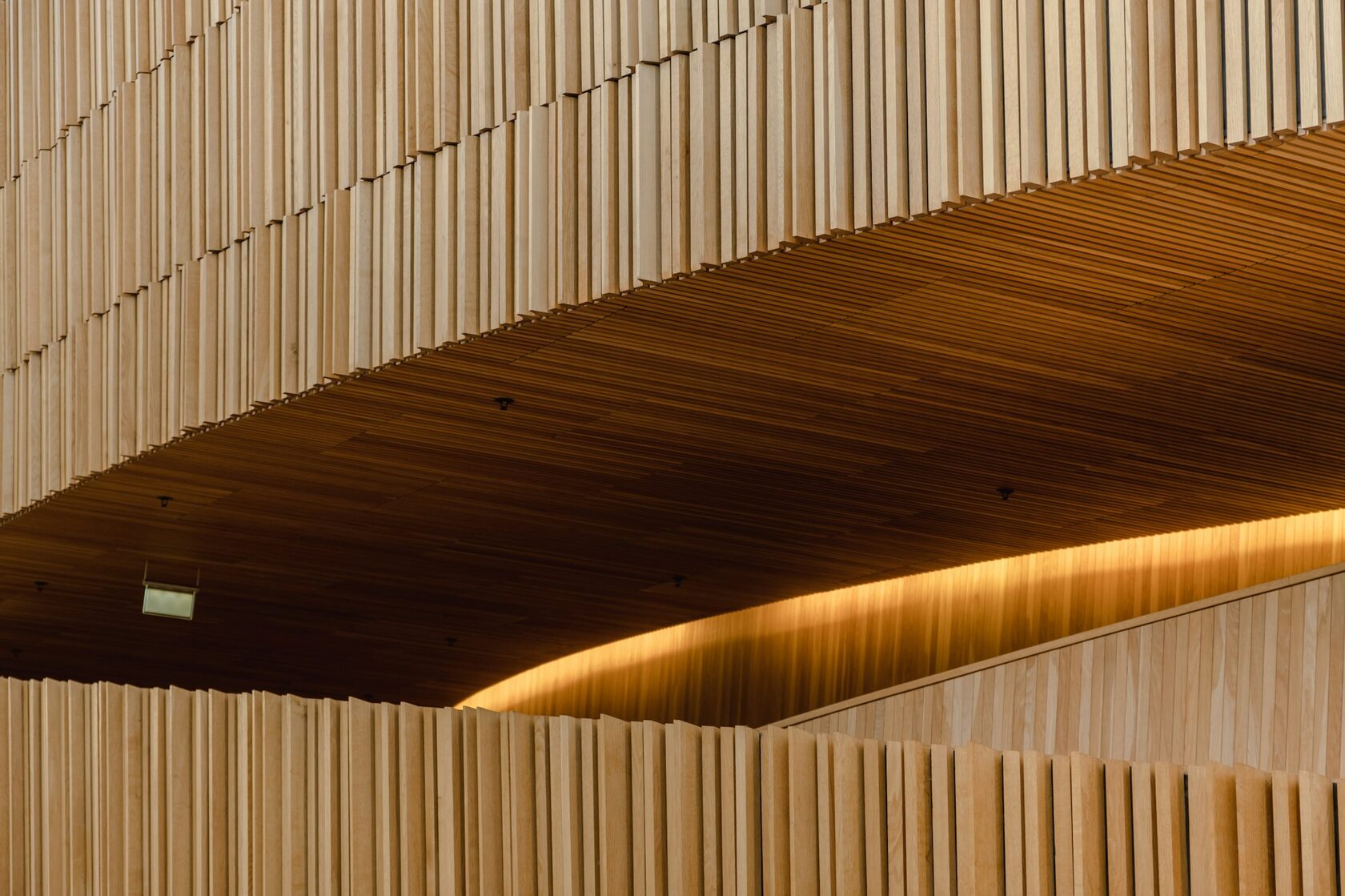 Textured fluted tambour wood panel architectural interior close-up