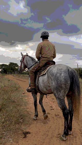 Horse and rider on a countryside trail at Vonfidel Ranch demonstrating ethical horsemanship.